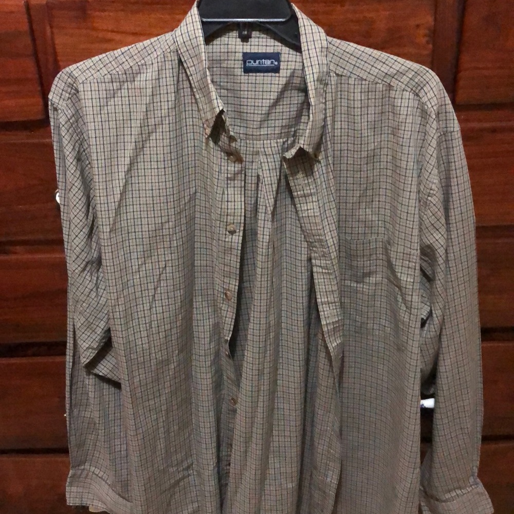 Puritan button down